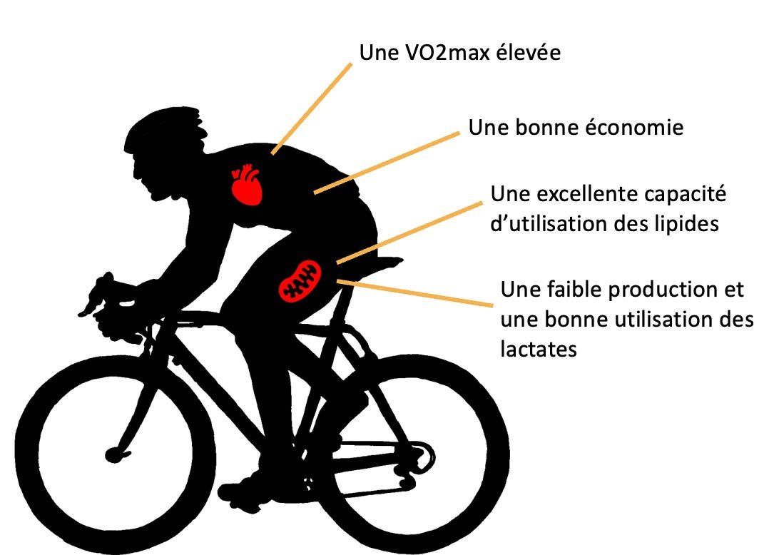 fichier d'une personne sur un vélo avec les signes vitals